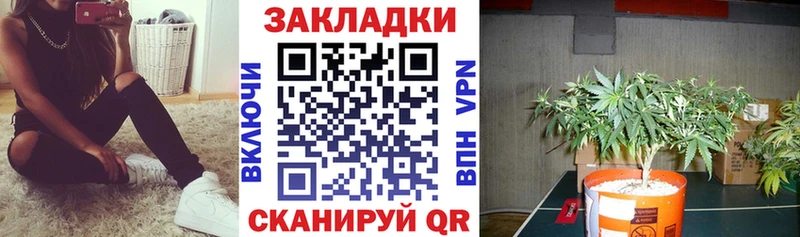 Наркошоп купить Галлюциногенные грибы  МЕФ  ЭКСТАЗИ  Гашиш  A-PVP  Амфетамин  Городище