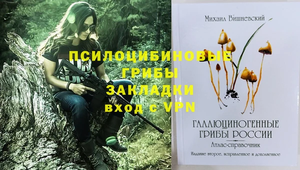 меф Кукмор